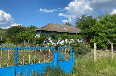 40 соток img